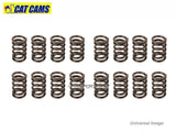 Cat Cams Uprated Valve Springs - Celica ZZT231, Corolla T Sport